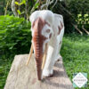 This hand-carved wooden white elephant sculpture features fine detailing and elegant tusks. A beautiful, eco-friendly decor piece and a meaningful gift for any occasion.