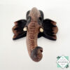 Hand-carved wooden elephant face sculpture with tusks. Made from mahogany wood. A symbol of luck and wisdom. Perfect for home decor or gifting.